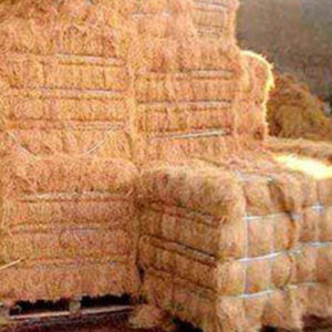 Easy Grow Premium Coir Fibre