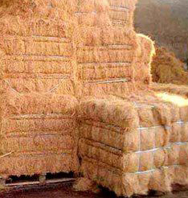 Easy Grow Premium Coir Fibre